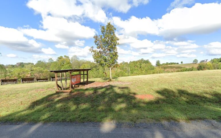 15818 0875d1c3a62b 768x480