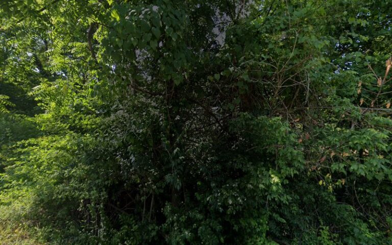 16457 8c3a6192eb2d 768x480