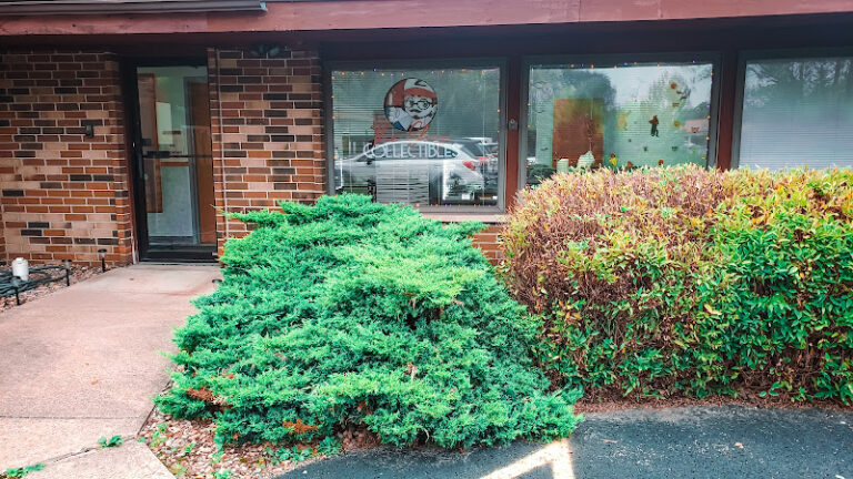 16797 1918b9add06c 768x432