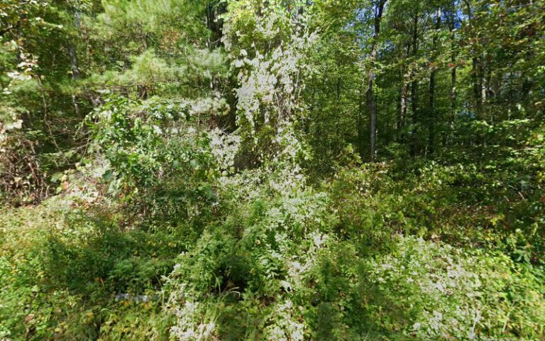 18730 81374bf2722a 768x480