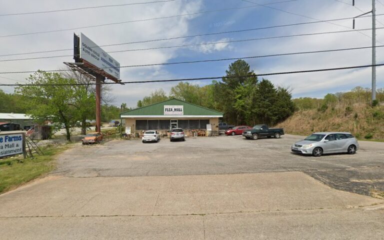 18976 c8ba931eabd2 768x480