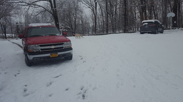 8245 4de8c97a40c4 768x432