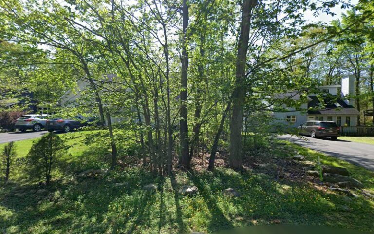 8585 ca48073f7d5b 768x480